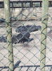 IMG_20150321_133124