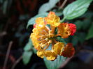 DSC09646