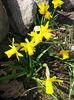 20150321_150905