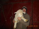 Picture 145