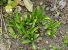 DSCN0762