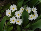 DSCN0763