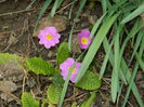DSCN0764