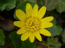 DSCN0767