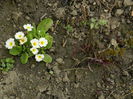 DSCN0770