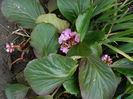 DSCN0774