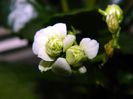 DSCN0840