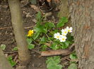 DSCN0880