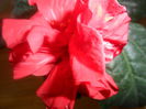 SAM_3592