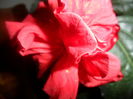 SAM_3596