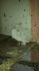 20150324_152358