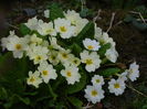 DSCN0964