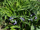 DSCN1082