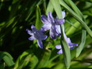 DSCN1084