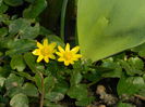 DSCN1088
