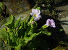 DSCN1090