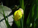DSCN1094