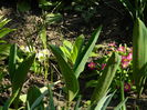 DSCN1162