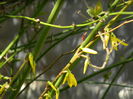 DSCN1396