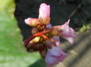 DSCN1399
