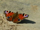 DSCN1405