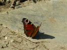 DSCN1407