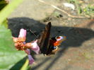 DSCN1421