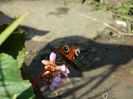 DSCN1427