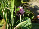 DSCN1436