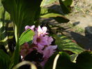 DSCN1438