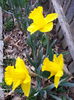 20150324_174752