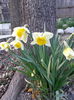 20150324_174527