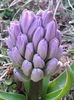 20150324_174223