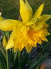 20150324_174044