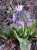20150324_173929