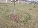 DSCF6112[1]