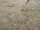 DSCF6114[1]
