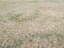 DSCF6117[1]