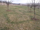 DSCF6118[2]