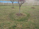 DSCF6122[1]