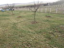 DSCF6123[1]