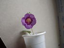 DSCF3480