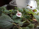 DSCF3482