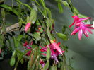 DSCN2546