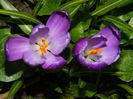 DSCN2547