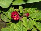 DSCN2573
