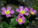 DSCN2576