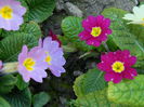 DSCN2595