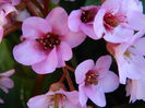 DSCN2603