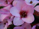 DSCN2604